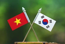 Les drapeaux du Vietnam et de la République de Corée. Photo : VOV.