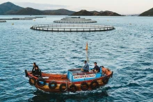 La zone d'élevage des produits aquatiques en technologie avancée dans les eaux profondes de la Sarl Australis Vietnam, située dans la baie de Vân Phong, province de Khanh Hoa. Photo : nhandan.vn