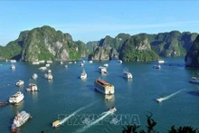 La baie d'Ha Long est reconnu par l'UNESCO comme patrimoine mondial. Photo d'illustration : VNA.