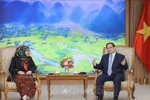 Le Premier ministre Pham Minh Chinh et la nouvelle ambassadrice de Brunei au Vietnam, Datin Paduka Malai Hajah Halimah Malai Haji Yussof. Photo : VNA.