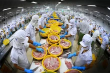 Les États-Unis ont toujours été le plus grand marché pour l'exportation des produits de la mer du Vietnam. Photo: La VASEP