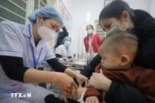 Depuis septembre 2024, une campagne de vaccination contre la rougeole ciblant les enfants âgés de 1 à 10 ans est mise en œuvre dans nombre de villes et provinces. Photo : VNA.