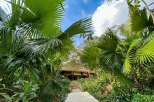 Les maisons des Tày sont principalement construites en bois, avec des toits couverts de feuilles de palmier ou de chaume. Photo: baoquocte