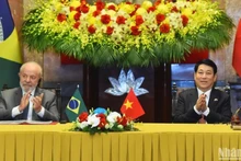 Le président vietnamien Luong Cuong (droite) et son homologue brésilien Luiz Inácio Lula da Silva lors de la rencontre avec la presse. Photo : NDEL.