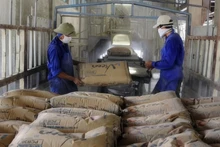 Des ouvrier transportent des sacs de ciment dans une usine. Photo : Vicem.