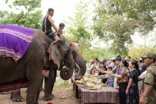 En plus du tourisme convivial à dos d'éléphant, les visiteurs pourront «Admirer Buon Don d'en haut» pendant les vacances du 30 avril et du 1er mai. Photo : VOV.