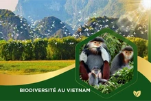 Renforcer l'efficacité de la conservation de la biodiversité