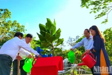 Ca Mau lance une campagne de plantation d’arbres en l’honneur de l’anniversaire du président Ho Chi Minh.