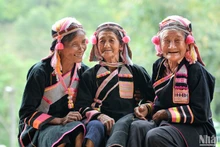 La beauté du costume traditionnel des Ha Nhi dans le village de Pa Pang. 