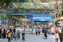 Hanoï : le parc zoologique de Thu Lê et ses particularités