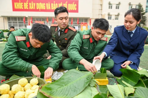 Confection de banh chung : symbole de cohésion à la Brigade 144