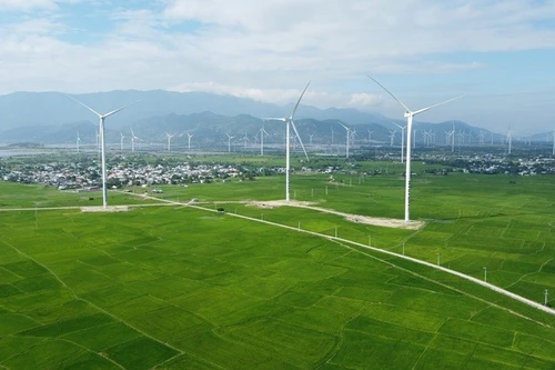 Khanh Hoa encourage vivement le secteur privé à participer au développement énergétique. Photo : V.T