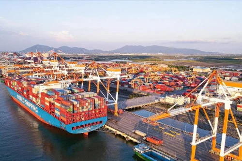 Le navire COSCO SHIPPING ROSE a accosté au port de Cai Mep-Thi Vai le 24 octobre 2023. Photo : VNP.