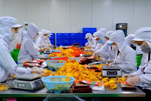 Transformation de fruits séchés. Photo : laodong.
