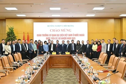 Lors de la rencontre avec les chefs des représentations vietnamiennes à l’étranger proposés et nommés en 2025. Photo : Kieu Chi.