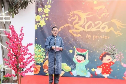 L’ambassadeur du Vietnam en Algérie, Tran Quoc Khanh, prononce un discours lors de l’événement. Photo : VNA