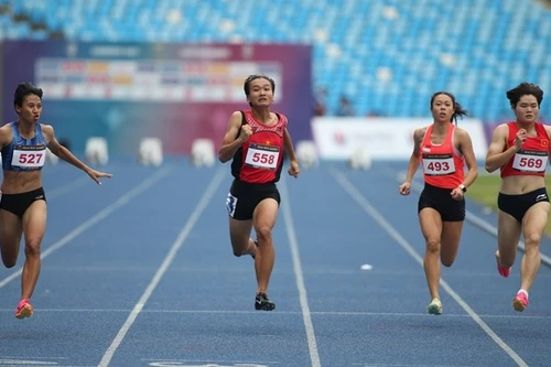 Investir dans la science du sport pour le sport de haut niveau. Photo d'illustration/QDND.