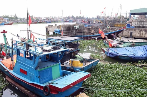 Da Nang restructure sa flotte de pêche pour protéger les ressources côtières. Photo : VNA.