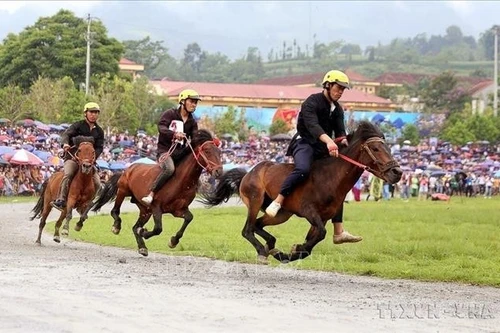 Course hippique lors de la finale du Tournoi élargi de courses de chevaux traditionnelles de Bắc Hà (Lào Cai). Photo : VNA.