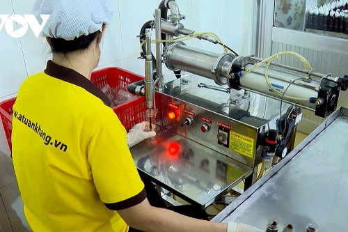 Vinh Long en tête du pays pour les produits industriels ruraux typiques