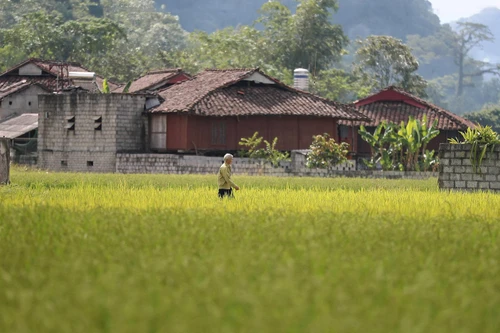 Khung cảnh bình yên tại ngôi làng du lịch tốt nhất thế giới.