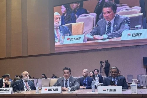 L'ambassadeur Pham Hai Anh, chef du Département des organisations internationales du ministère des Affaires étrangères, s'exprime lors de la réunion. Photo: VNA