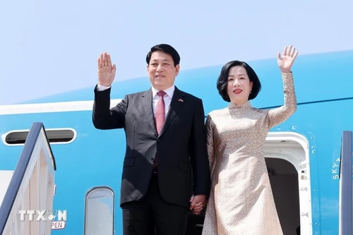 Le président Luong Cuong arrive au Caire, entamant une visite d’État en Égypte