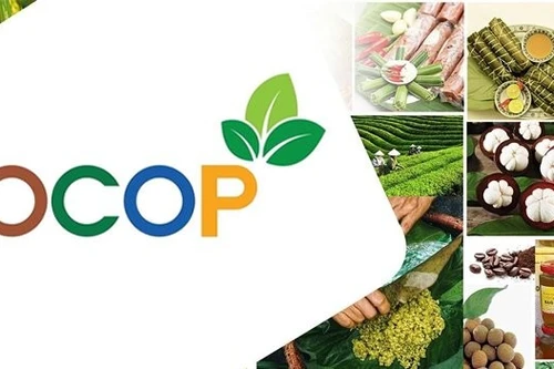 OCOP Vietnam: Un Chemin Vers la Valorisation Locale