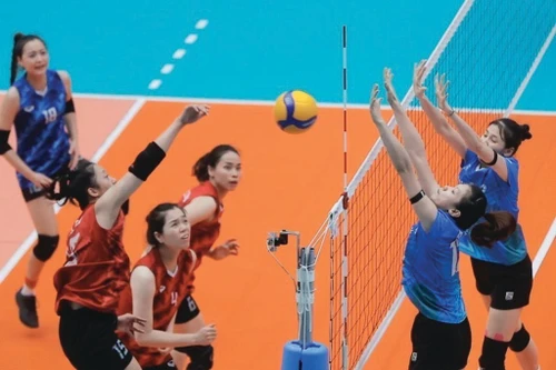 À un mois des SEA Games 33 en Thaïlande, les sélections vietnamiennes de volley-ball entrent en mode commando.