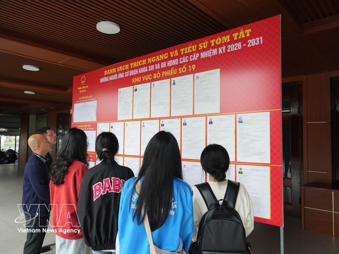 Des étudiants de l’Université de médecine de Vinh s’informent sur les candidats. Photo: VNA