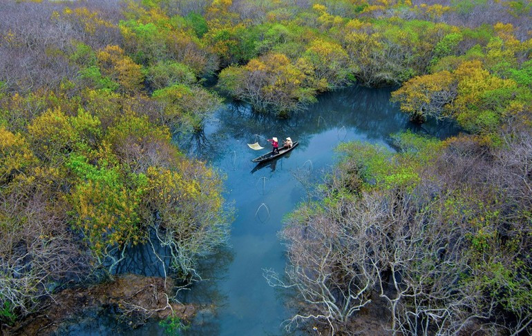 Moyens de subsistance dans la forêt de Chá, lagune de Tam Giang. Photo : nhandan.vn 3.jpg