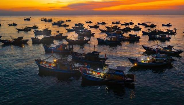 Chaque jour, des centaines de bateaux accostent ici pour vendre leurs produits de la mer, attirant des centaines de commerçants et de travailleurs auxiliaires liés à la pêche. Photo : vov.vn a-4.jpg