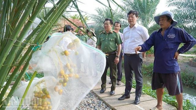 Membre du Comité central du Parti, Secrétaire du Comité provincial du Parti de Đồng Thap, Le Quoc Phong, a visité et étudié le modèle de tourisme dans le quartier de Hong Ngu. Photo: nhandan.vn 3-61.jpg