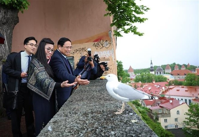 Le Premier ministre Pham Minh Chinh et son épouse visitent la Vieille ville de Tallinn. Photo: VNA Le Premier ministre Pham Minh Chinh et son épouse visitent la Vieille ville de Tallinn. Photo: VNA