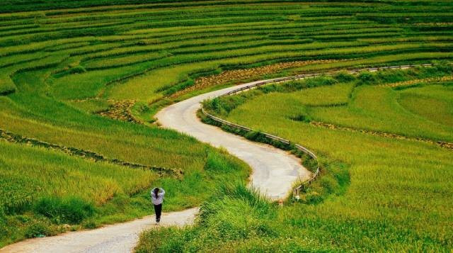Ban Don a été aménagé pour devenir un village de tourisme communautaire. Photo: vnexpress.net 4-16.jpg