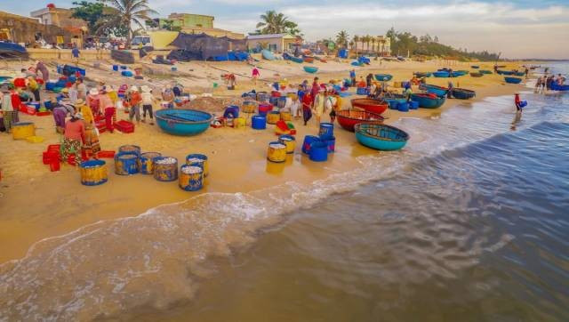 Comme il s’agit de pêche côtière, les pêcheurs partent en mer dans l’après-midi et rentrent au port vers 4 heures du matin le lendemain. Photo : vov.vn a3-1.jpg