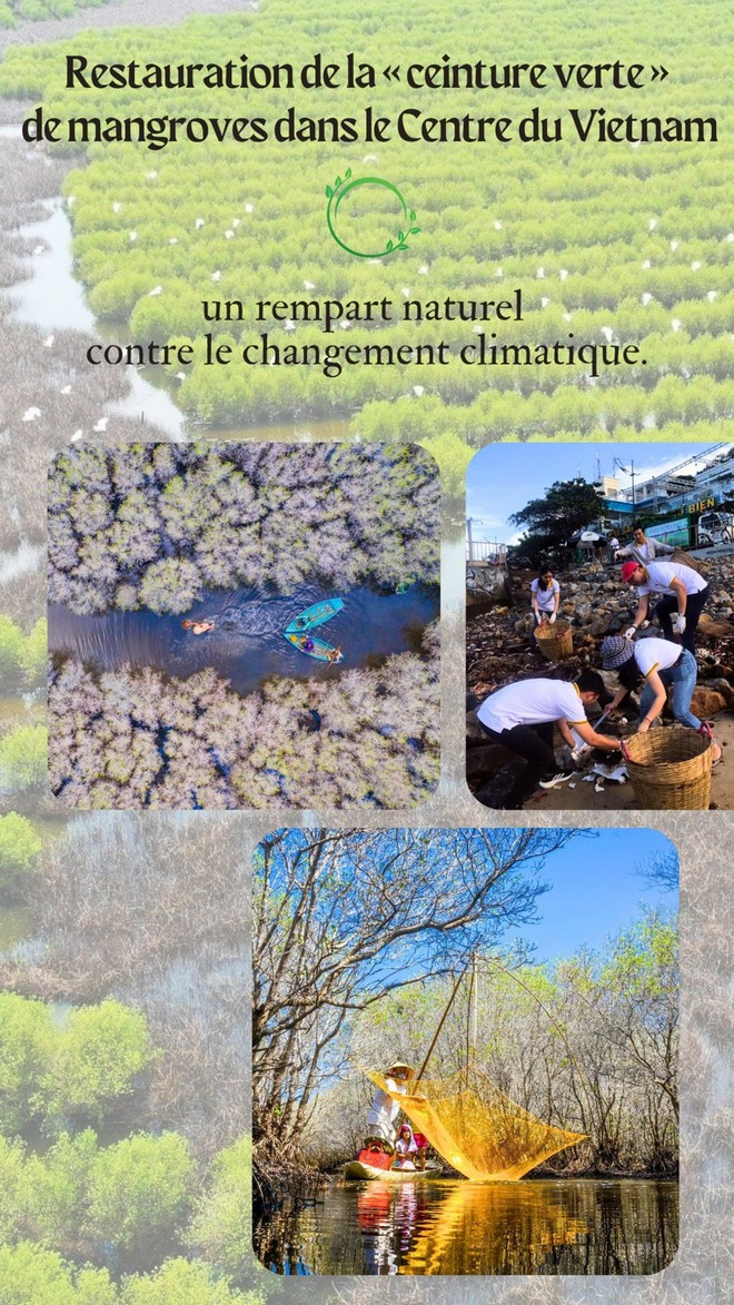 Le Vietnam s’engage aux diverses actions contre la pollution marine. Photos : VNA/CVN Le Vietnam s’engage aux diverses actions contre la pollution marine. Photos : VNA/CVN