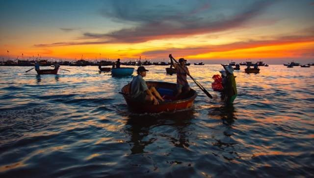 Lorsque les bateaux de pêche sont à environ 200 mètres du rivage, les pêcheurs transfèrent les produits de la mer dans des paniers ronds pour les ramener à terre. Photo : vov.vn a2-2.jpg