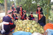 Conformément au décret n° 28, les ménages pauvres ou à faible revenu appartenant à des minorités ethniques ont droit à des prêts à taux préférentiels pour l'acquisition de terrains résidentiels et agricoles, etc. Photo : baodautu.vn