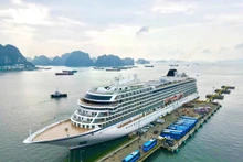 Depuis le début de l’année jusqu’à la fin octobre 2025, le port international de Ha Long a reçu 44 croisières internationales avec un total d’environ 56 000 passagers, soit une hausse de 9 % par rapport à la même période de l’année précédente. Photo : VOV
