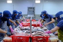 Dans les temps à venir, les entreprises exportatrices devront accroître leurs investissements dans la production et la transformation afin d'exploiter le marché mexicain et le vaste marché latino-américain. Photo : congthuong.vn