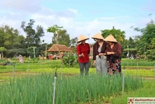 Le village de Trà Quê, l'un des meilleurs villages touristiques du monde. Photo : diachiamthuc.vn