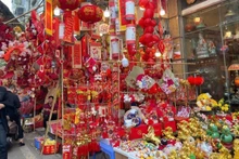 Le marché des décorations s'emballe pour le Têt. Photo: VNA