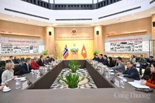 Séance de travail entre le ministre par intérim de l'Industrie et du Commerce, Le Manh Hung, et Åsmund Aukrust, ministre norvégien du Développement international. Photo : baodanang.vn