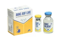AVAC Vietnam JSC exporte le premier lot de vaccin AVAC ASF LIVE vers l'Indonésie le 9 juin. Photo : avac.com.vn