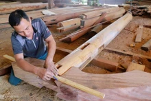 Un établissement de production de bois à Ha Tinh. Photo : vnexpress.net
