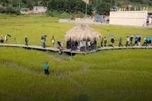 La Fête de la saison dorée de la région de Soong Co à Tien Yen. Photo : NDEL