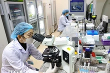 À l’horizon 2045, le corps intellectuel devra figurer parmi les meilleurs de la région et atteindre un niveau proche de celui des pays développés. Photo : VNA.