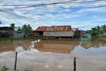 Environ 450 foyers de la commune d’Ia Hiao, province de Gia Lai, isolés en raison d’inondations provoquées par de fortes pluies. Photo : VNA.