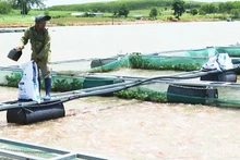 Le réservoir de Khe-Kanak est considéré comme très approprié au développement de l'aquaculture, notamment à l'élevage de poissons en cages à la surface de l'eau. Photo : NDEL.
